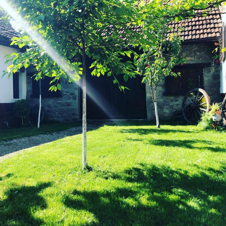 The Hunter House Villa Csudafalva Kültér fotó