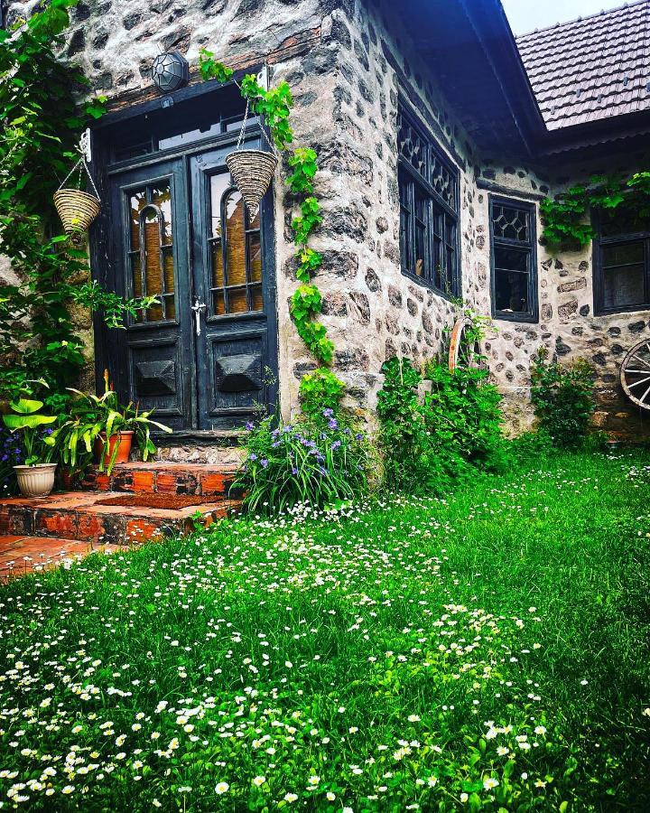 The Hunter House Villa Csudafalva Kültér fotó
